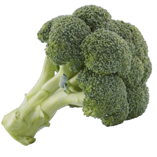Broccoli
